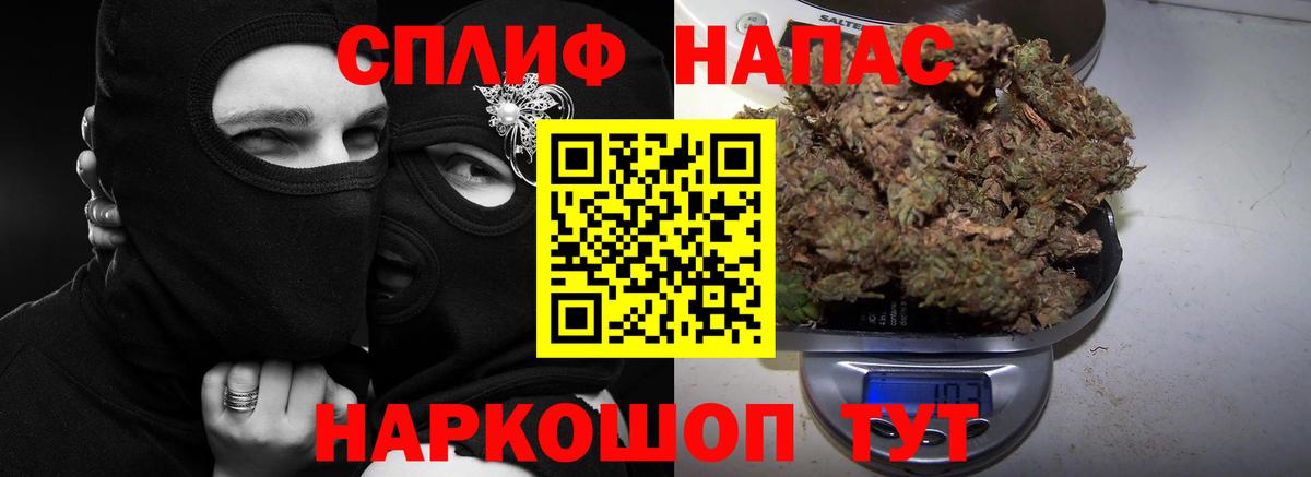 Бошки Шишки планчик Тихорецк